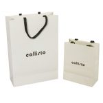 Luxury shopping carrier bag with hot foil